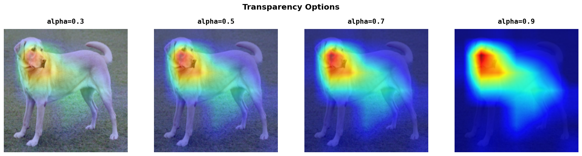 Transparency options
