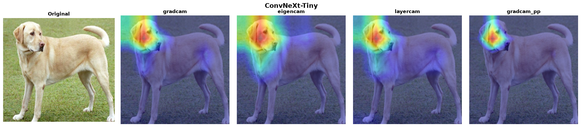 ConvNeXt-Tiny — 4 methods verified