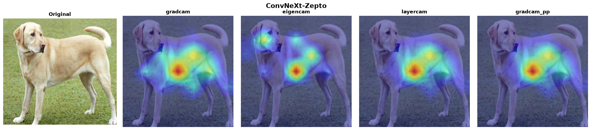ConvNeXt-Zepto — 4 methods verified