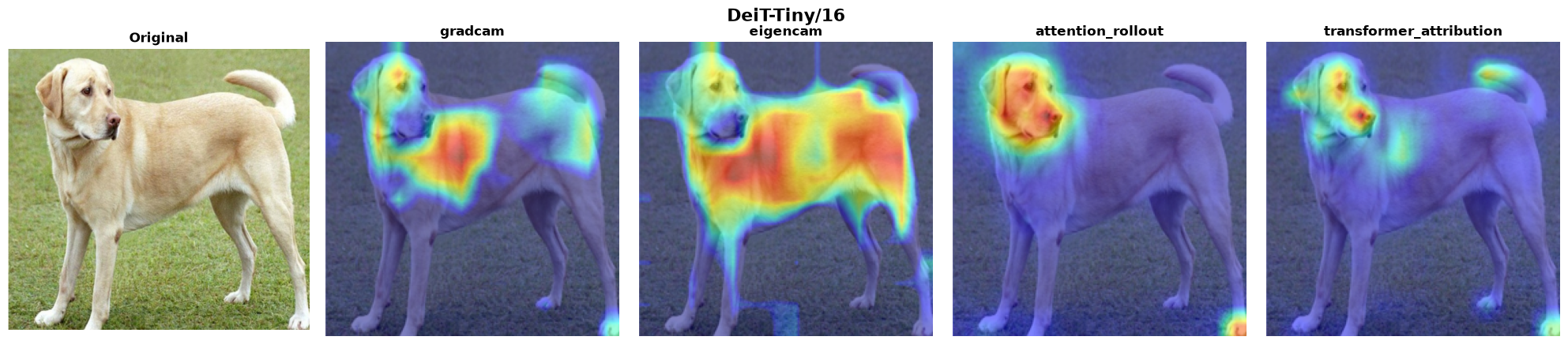 DeiT-Tiny/16 — all 4 methods verified