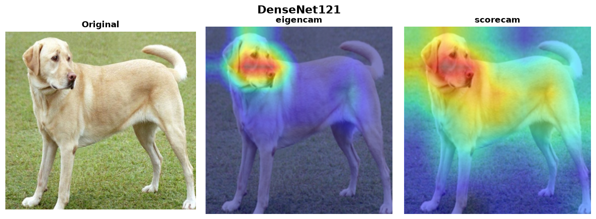DenseNet121 — compatible methods