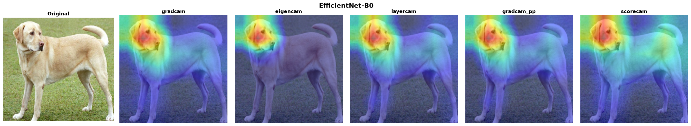EfficientNet-B0 — all 5 methods verified