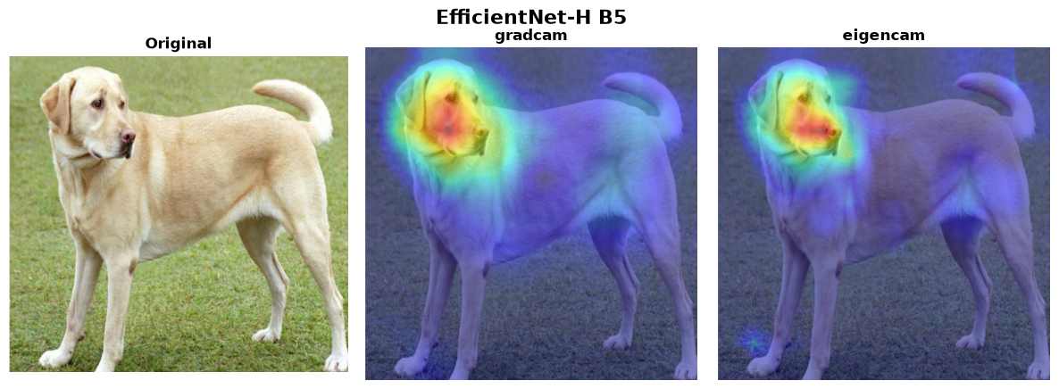 EfficientNet-H B5 — 2 methods verified