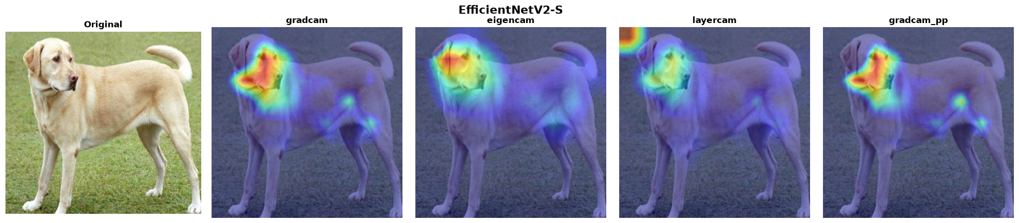 EfficientNetV2-S — 4 methods verified