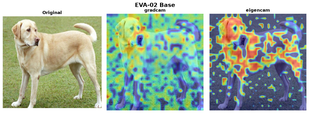 EVA-02 Base — 2 methods verified