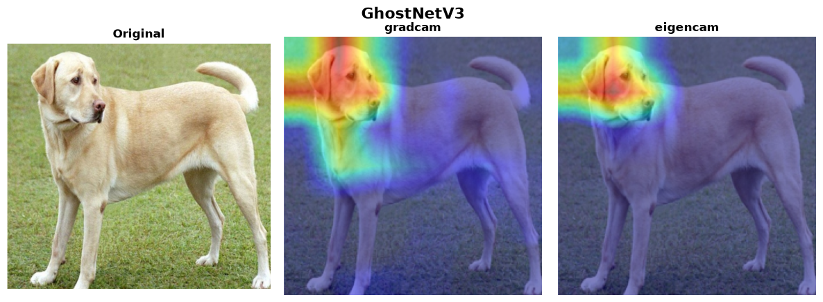 GhostNetV3 — 2 methods verified