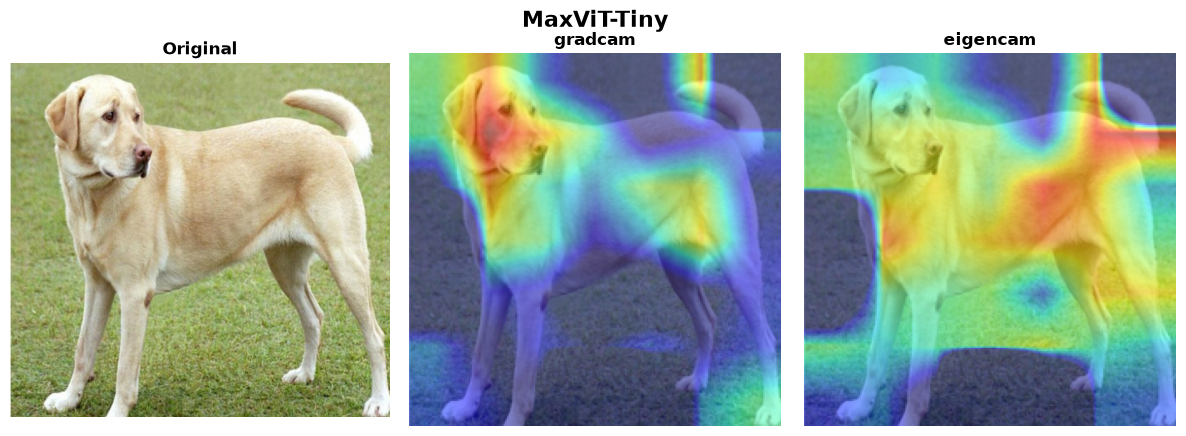 MaxViT-Tiny — 2 methods verified