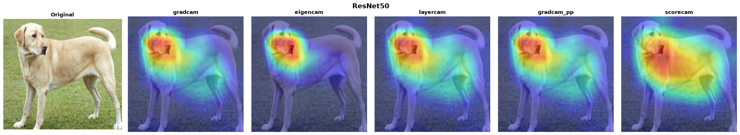 ResNet50 — all 5 methods verified