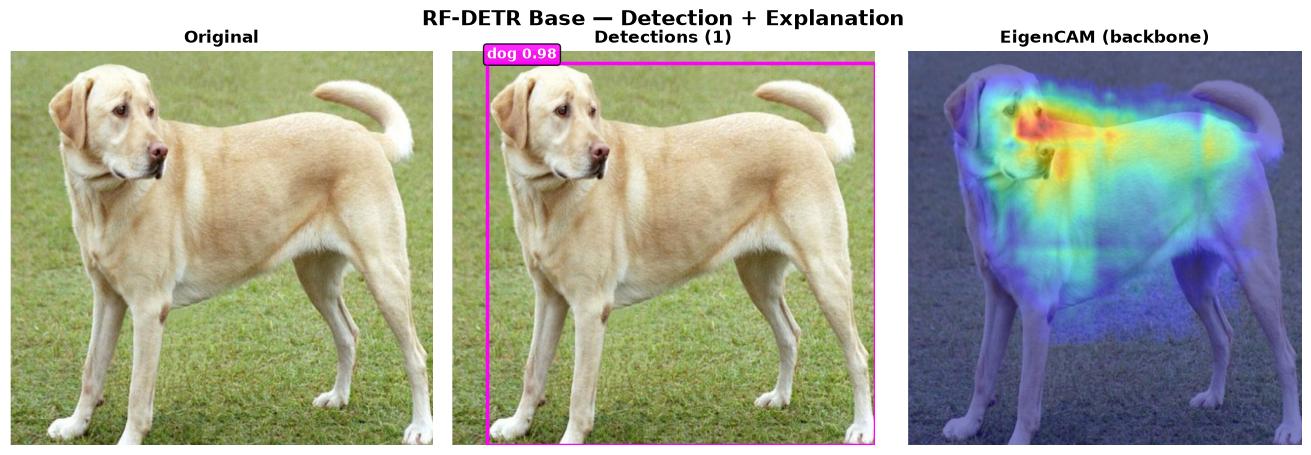 RF-DETR Base — detection + EigenCAM verified