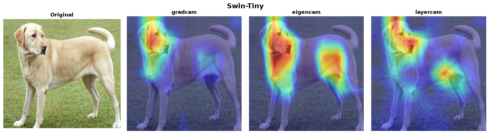 Swin-Tiny — 3 methods verified