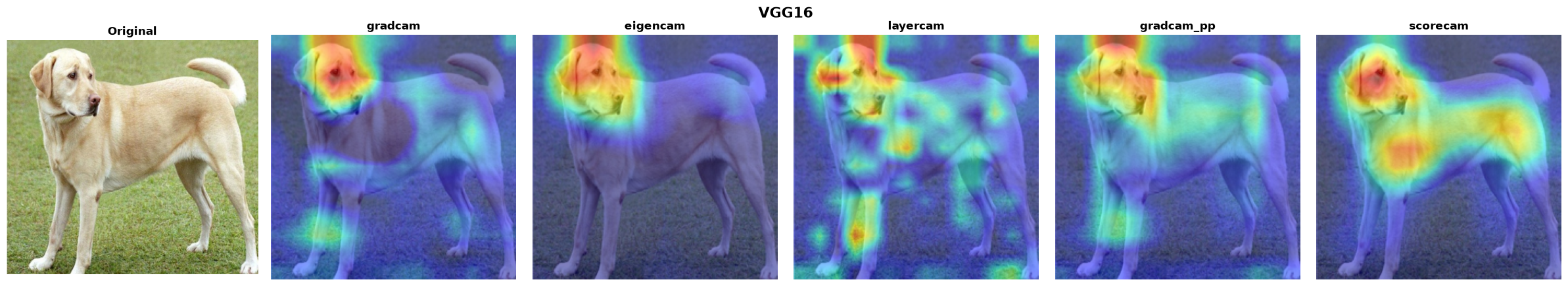 VGG16 — all 5 methods verified