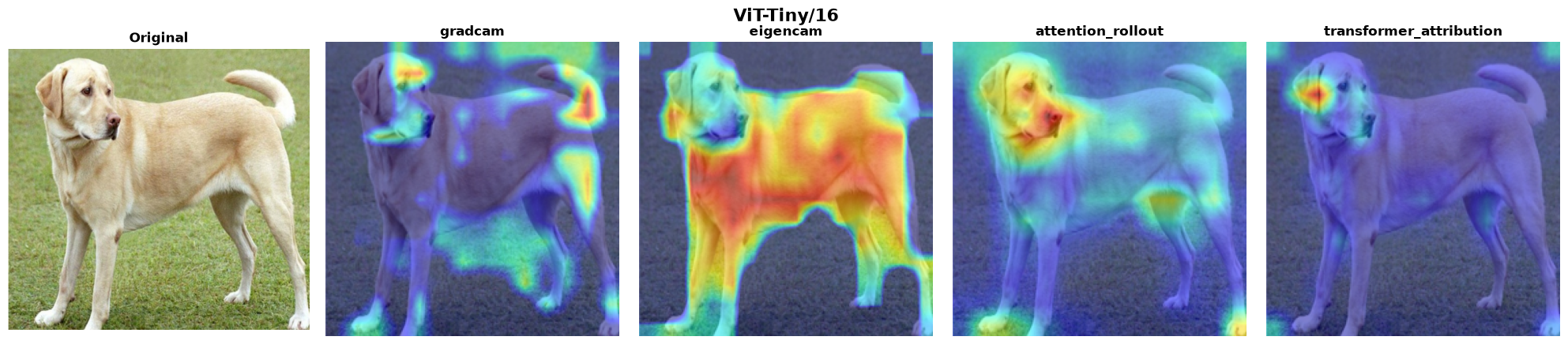 ViT-Tiny/16 — methods verified