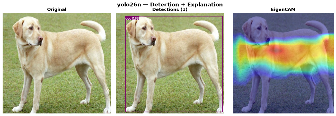 YOLO26n — Original → Detections → EigenCAM
